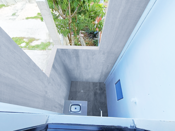 Ivy Interior