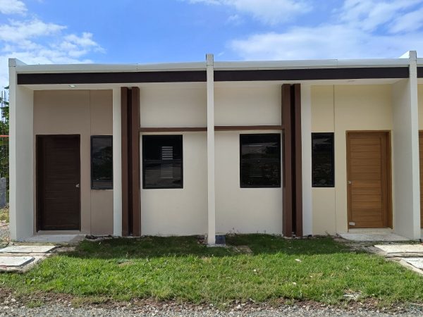 Daisy Exterior