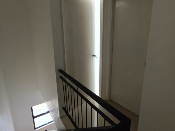 Ivy Interior